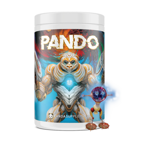 Pando 25 servicios